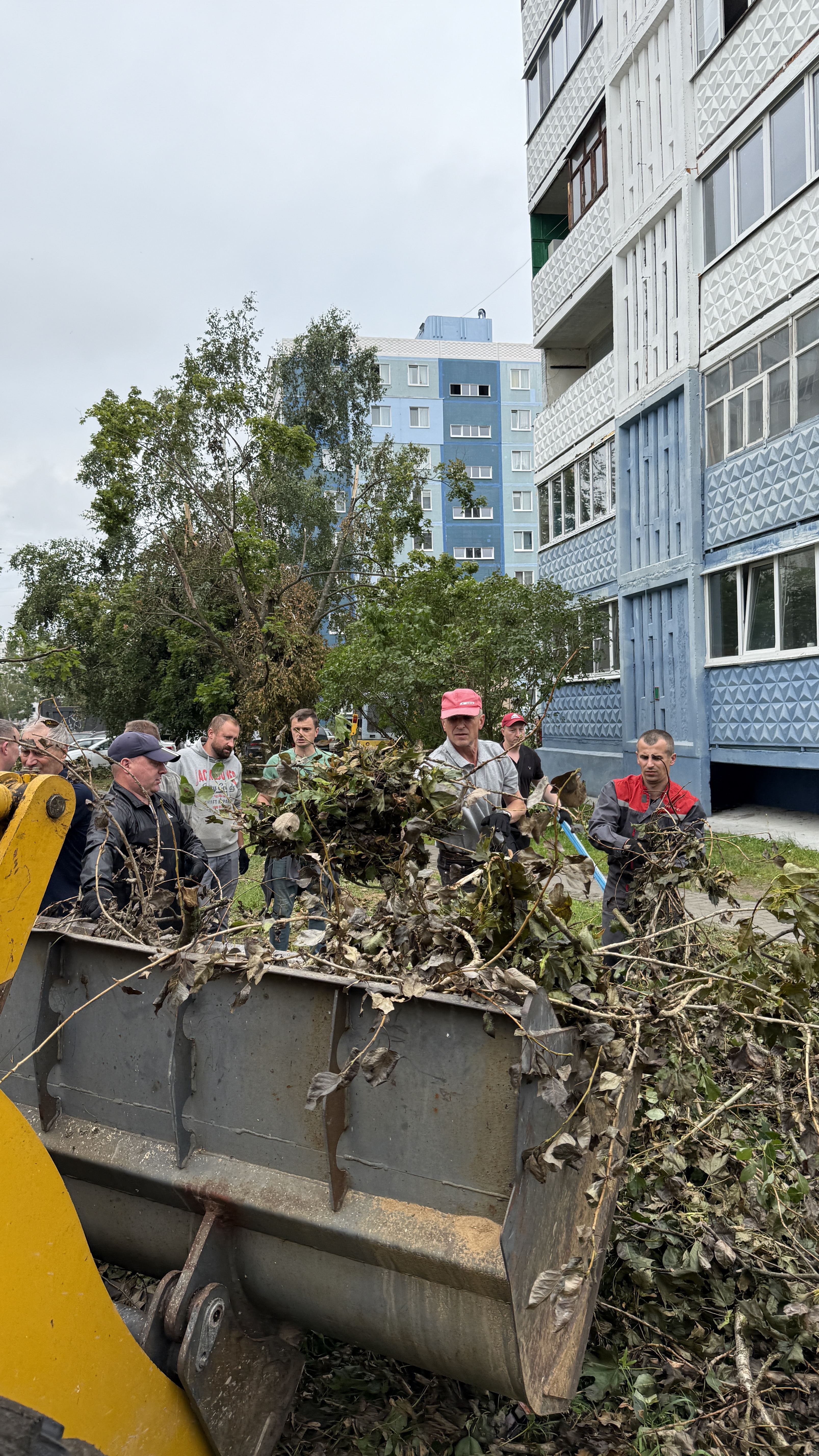 Изображение новости